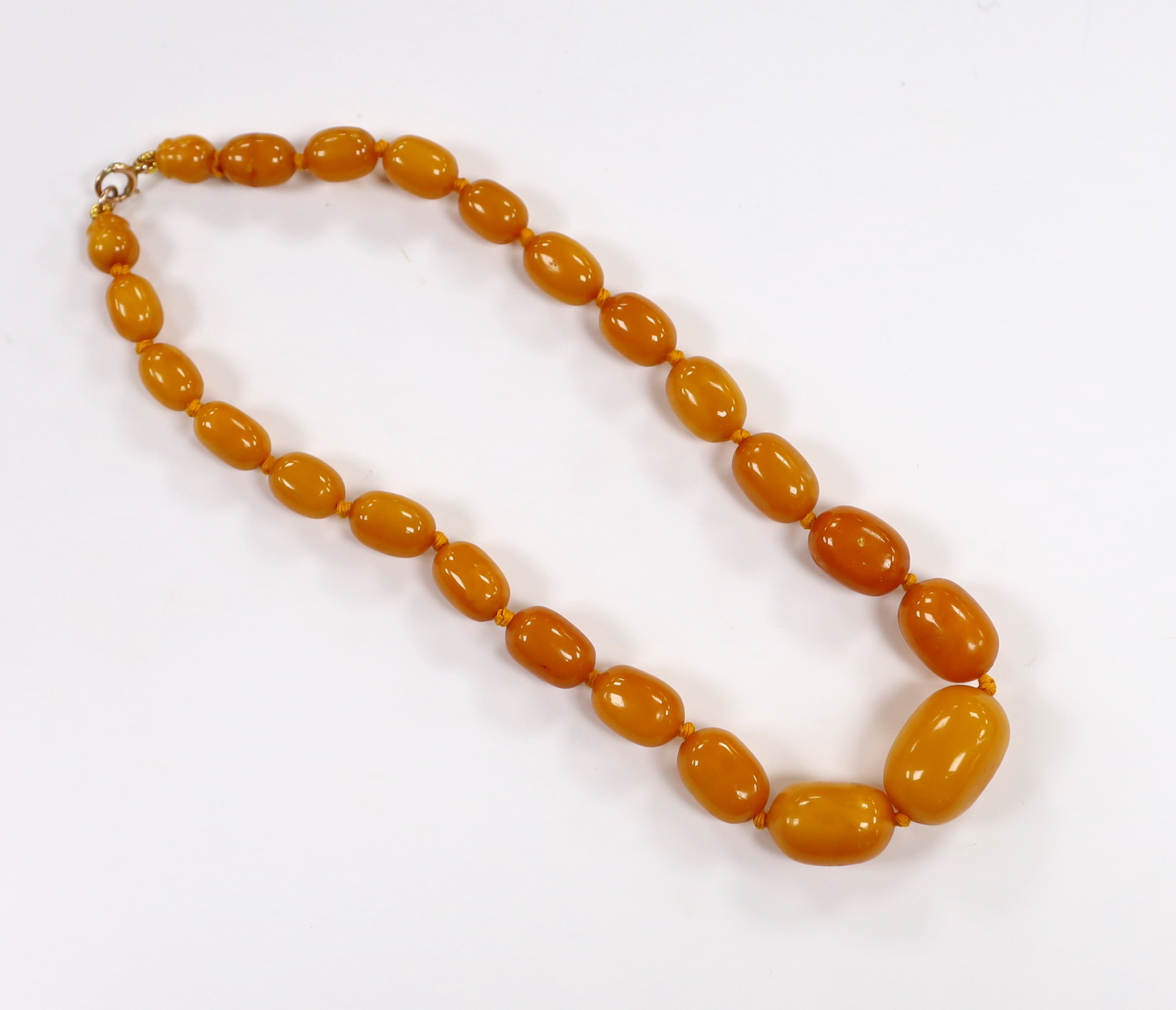 A single strand graduated amber bead necklace, with a 9ct clasp, 41cm, gross weight 43 grams.